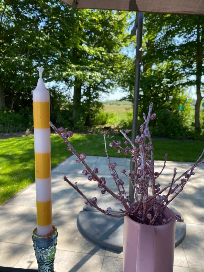 Luxe En Gezellig Chalet Aan Veluwemeer 4 Pers Hulshorst Eksteriør bilde