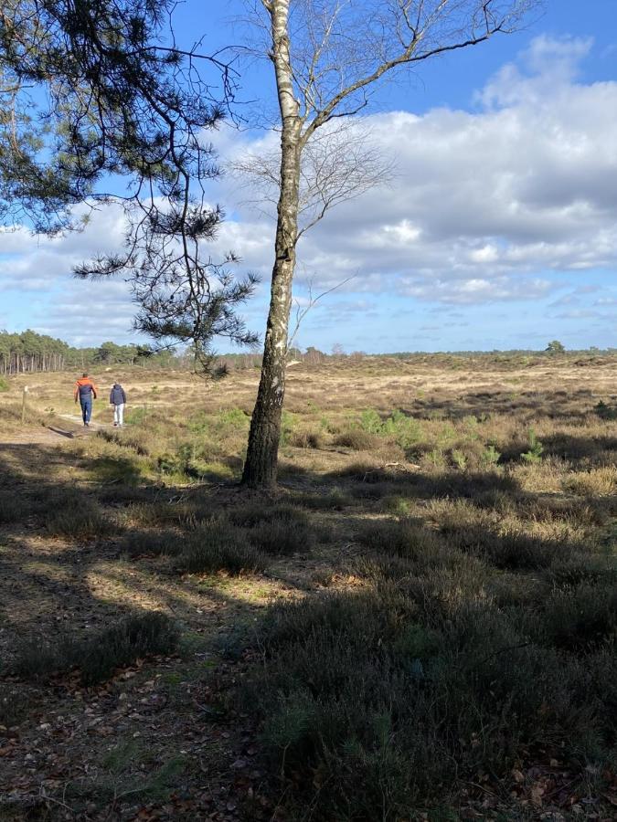 Luxe En Gezellig Chalet Aan Veluwemeer 4 Pers Hulshorst Eksteriør bilde